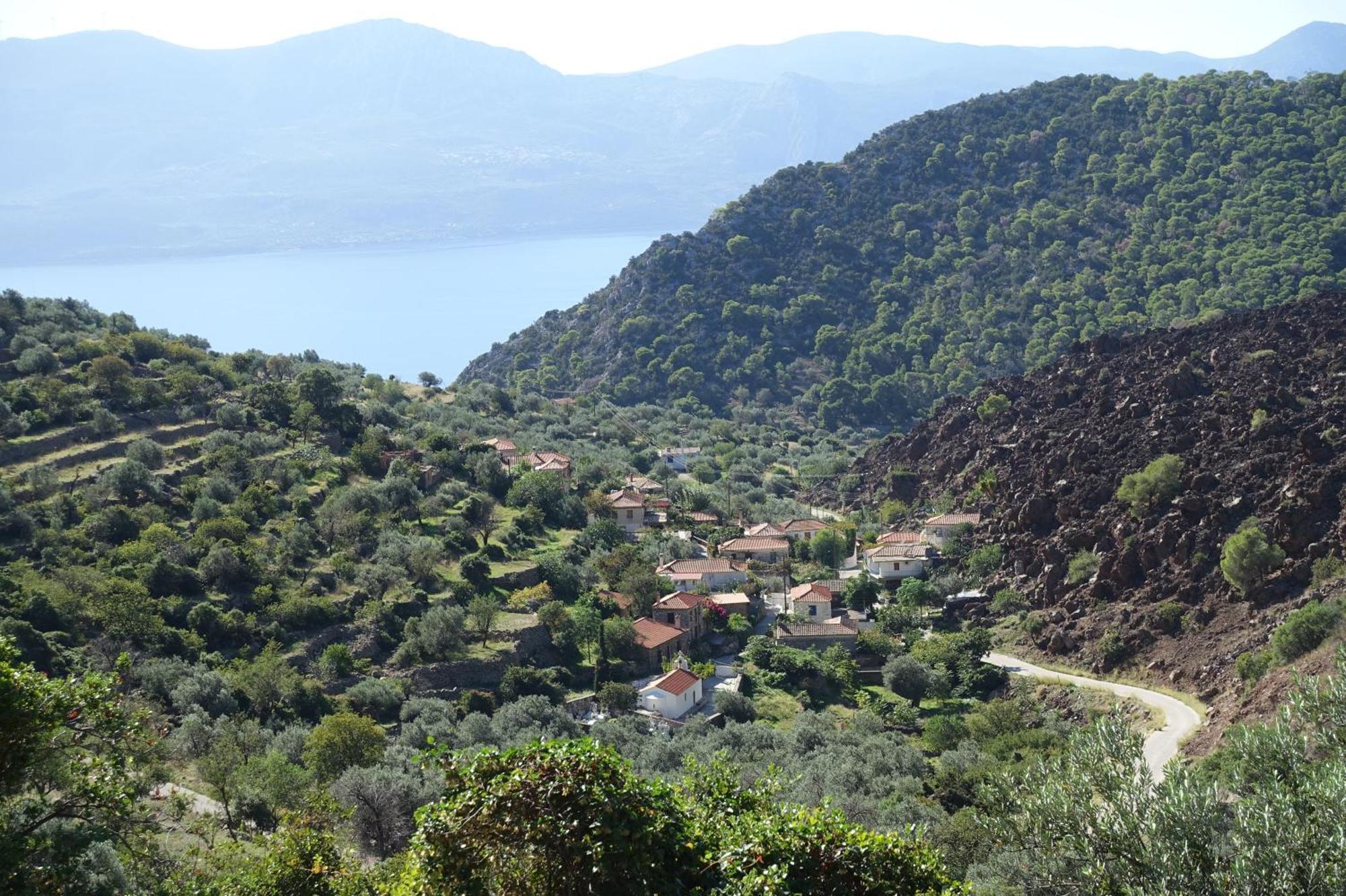 Studio In Villa In Kalloni Direkt Am Meer Dış mekan fotoğraf