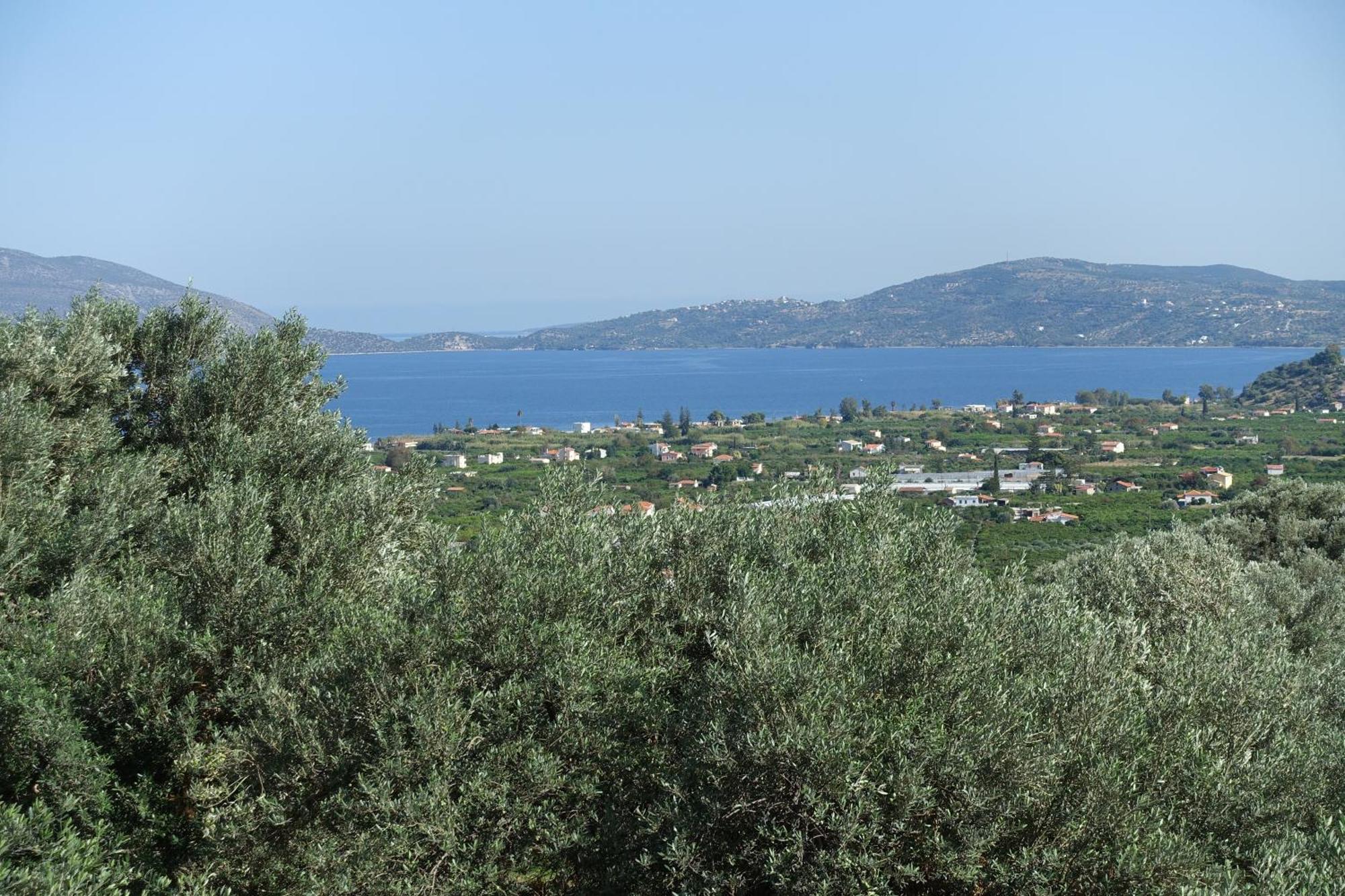Studio In Villa In Kalloni Direkt Am Meer Dış mekan fotoğraf